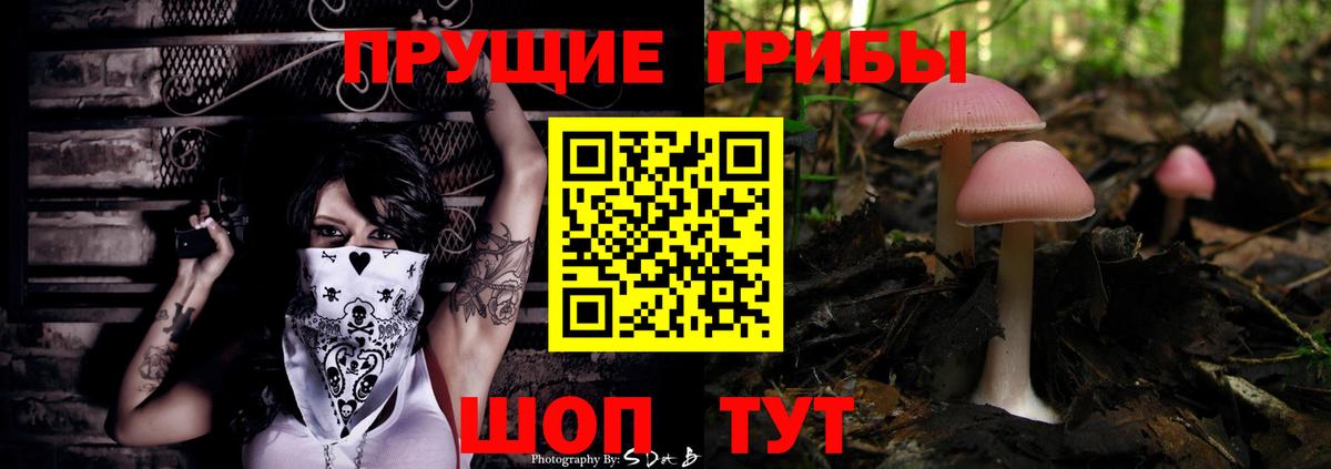 Выкса  Галлюциногенные грибы Psilocybine cubensis  Вход с VPN 